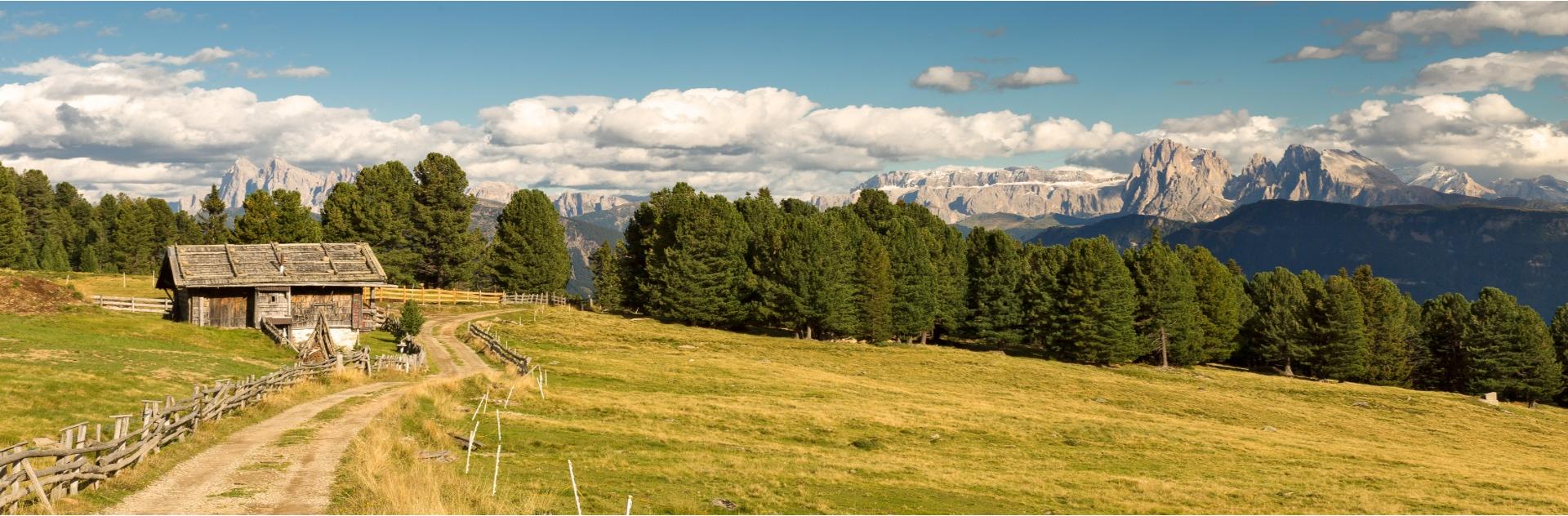 wolfi-panorama