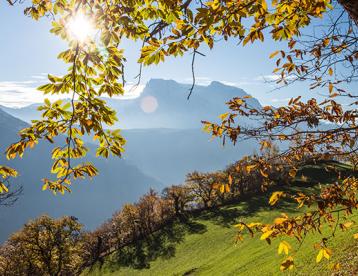 herbst-landschaft