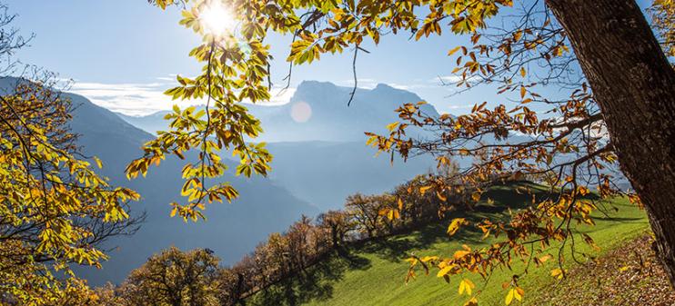 herbst-landschaft